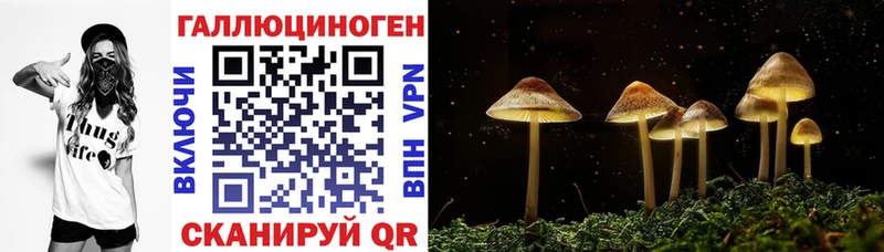 KRAKEN ССЫЛКА  Новоуральск  Галлюциногенные грибы прущие грибы 