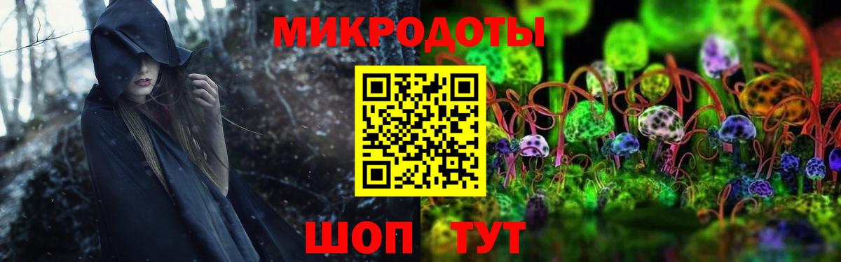 Галлюциногенные грибы прущие грибы Новоуральск